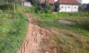 Jalan Lingkungan Desa Torjunan Nyaris Tak Tersentuh Pemerintah