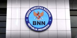 BNN Ungkap Jaringan Pengedar Narkoba Internasional