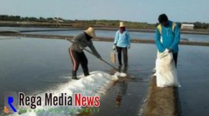 Harga Nganjlok, Petani Garam di Sumenep Gelisah