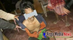 Gagal Mencuri, Maling Sapi di Desa Rohayu Diamankan Polisi