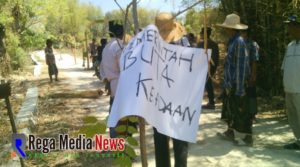 Gara – Gara Ini Warga Desa Sejati Camplong Lakukan Aksi Tanam 500 Pohon Pisang di Tengah Jalan