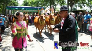 Meriahkan Peringatan Hari Jadi Kabupaten Sampang, Disporabudpar Gelar Kontes Sapi Sonok