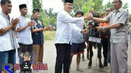 Kapolres Pamekasan (AKBP Teguh Wibowo) menyerahkan sapi qurban secara simbolis kepada Ketua Takmir Masjid Baitul Amal.
