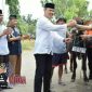 Kapolres Pamekasan (AKBP Teguh Wibowo) menyerahkan sapi qurban secara simbolis kepada Ketua Takmir Masjid Baitul Amal.