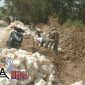 Para pekerja saat melakukan pekerjaan proyek saluran pembuang di Dusun Tasean, Desa Panggung, Sampang.