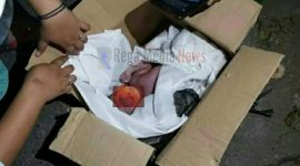 Bayi Malang Yang ditemukan sudah tak bernyawa