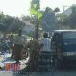 Sopir MPU tanam pohon pisang di jalan yang rusak sebagi bentuk protes. 