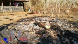 Kandang Terbakar, Sapi Mati Terpanggang