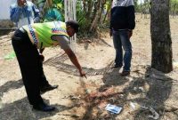 Petugas kepolisian saat mengecek ke Tempat Kejadian Perkara (TKP).