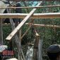 Petugas Satpol PP saat membongkar rumah proatitusi di Dusun Sumber Otok, Desa Taddan, Kecamatan Camplong, Sampang.
