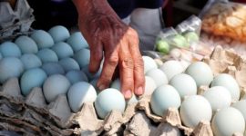 Telur asin