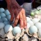 Telur asin