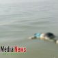 Terlihat mayat mengapung di Pesisir Pantai Karang Tanjung Desa Karang Anyar Kecamatan Kwanyar