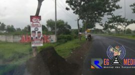 Beberapa Alat Peraga Kampanye (APK) Capres-Cawapres terpasang di pohon-pohon ruas Jl. Raya Tangkel, Suramadu, Bangkalan, Madura.