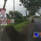 Beberapa Alat Peraga Kampanye (APK) Capres-Cawapres terpasang di pohon-pohon ruas Jl. Raya Tangkel, Suramadu, Bangkalan, Madura.