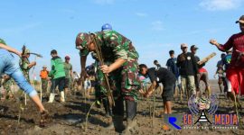 Dandim 0718/Pati Letkol Arm Arief Darmawan saat menanam mangrove di pesisir Pantai Pangkalan bersama masyarakat.
