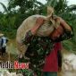 Salah satu personel TNI saat berusaha membawa karung berisi tanah