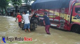 Salah satu pengendara saat membawa kendaraanya menggunakan gerobak