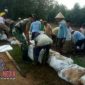 Koramil 10/Dukuhseti bersama warga dan mahasiswa KKN melakukan pembendungan pinggir sungai silugonggo kenanti dengan kantongan sak berisi pasir.