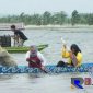 Keseruan warga Desa Pasuruan dalam mengikuti festival lomba perahu rakyat di area persawahan.