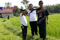 Camat Kedungdung Arief Purna Hermawan (tengah), Kades Moktesareh Fadol (kanan) dan Kades Pasarenan Yasin (kiri) saat survei lokasi jalan alternatif Jl. Raya Pasar Kedungdung.