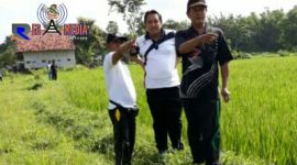 Camat Kedungdung Arief Purna Hermawan (tengah), Kades Moktesareh Fadol (kanan) dan Kades Pasarenan Yasin (kiri) saat survei lokasi jalan alternatif Jl. Raya Pasar Kedungdung.