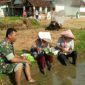 Keakraban, Kebersamaan dan kemanunggalan TNI terlihat dalam pendampingan upaya khusus TNI dalam swasembada pangan.
