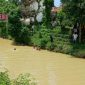 Warga saat mencari jasad bocah perempuan yang tenggelam di Sungai Toroan, Ketapang, Sampang.