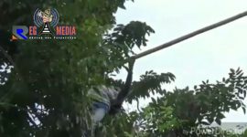 Detik-detik saat insiden kesetrumnya relawan Bawaslu Bangkalan saat turunkan APK, yang beredar di medsos.