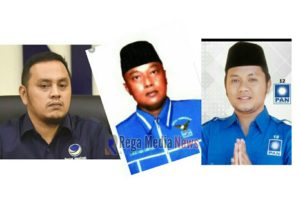 Ini Sekilas Profil 3 Caleg DPR RI Peraih Suara Terbanyak Di Kabupaten Sampang