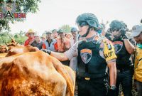 Kapolres Lumajang (AKBP M. Arsal Sahban) pimpin langsung Tim Cobra sidak ke pasar sapi (pasar pathok).