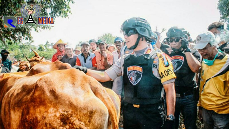 Kapolres Lumajang (AKBP M. Arsal Sahban) pimpin langsung Tim Cobra sidak ke pasar sapi (pasar pathok).