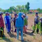 Lokasi stadion terletak di Desa Sejati perbatasan Desa Batukarang, Camplong.