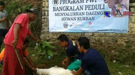 Proses penyembelihan hewan qurban oleh PWI Bangkalan