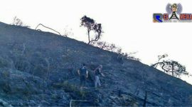 Bekas kebakaran Gunung Ciremai
