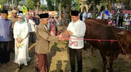 Kapolres Lumajang (AKBP. M. Arsal Sahban) terlihat tengah memberikan hewan qurban seekor sapi secara simbolis. 