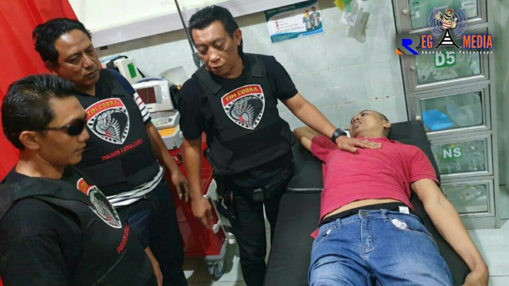 Tim Cobra Dilawan, DPO Maling Sapi di Dor