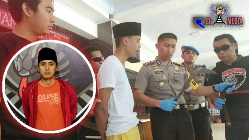 DPO pelaku pembacokan telah ditangkap dan diamankan di Markas Tim Cobra Polres Lumajang.