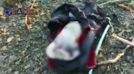 Mayat bayi mulai membusuk dan terbungkus tas ransel warna hitam.