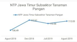 Oleh : Gita Rizky Purwitasari