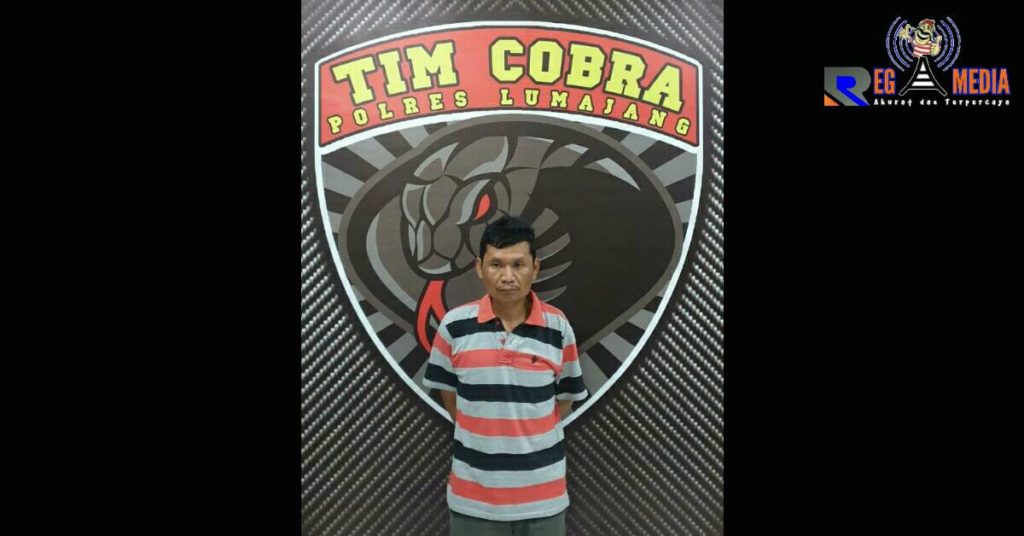 Kabur Ke Lumajang, Pembobol Alfamart Ponorogo Dibekuk Tim Cobra