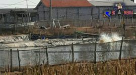 Salah satu titik lokasi usaha budi daya tambak udang di Kelurahan Banyuanyar, Sampang, yang diduga tidak memiliki ijin.