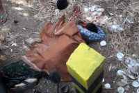 Korban tergeletak dipinggir jalan dengan kondisi mengenaskan dan berlumuran darah.