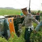 Kondisi bus pariwasata yang terguling, terlihat pihak kepolisian dan warga usai mengevakuasi korban.