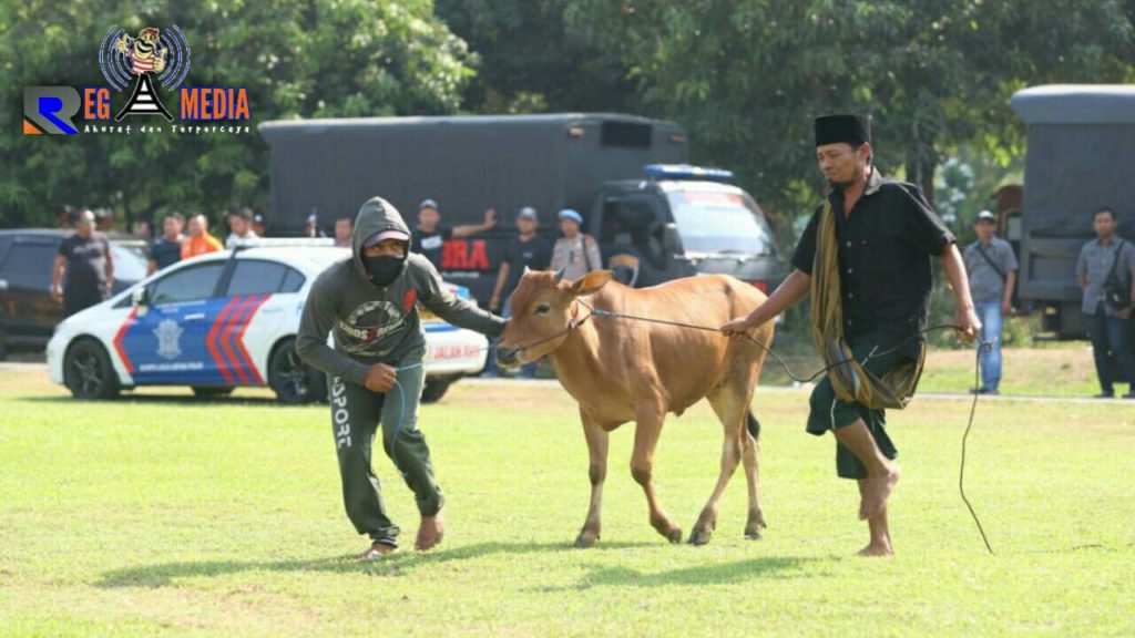 Tim Cobra Tangkap Maling Sapi di Halaman Mapolda Jatim