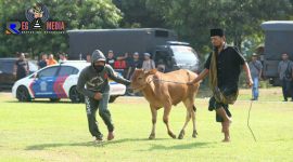 Situasi saat berlangsungnya Tim Cobra Polres Lumajang simulasi pencurian sapi (curanwan) dalam lomba demo standart kemampuan fungsi Reskrim di Mapolda Jatim.
