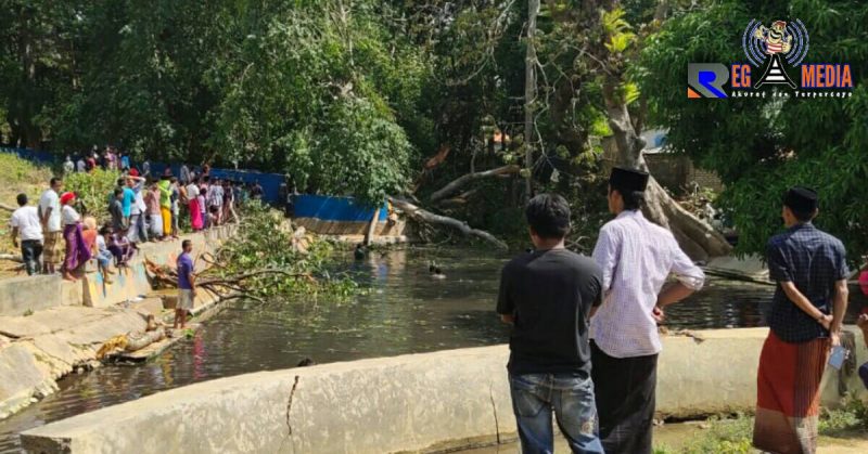 Terlihat warga berbondong-bondong mendatangi lokasi kejadian tumbangnya pohon besar di pemandian sumber omben.