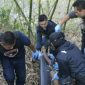 Tim Cobra Polres Lumajang saat mengevakuasi mayat korban perampokan yang  dibuang ke semak-semak bambu.