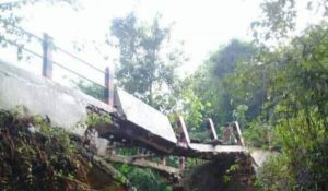 Jembatan Penghubung Dua Desa di Kedungdung Ambruk Tak Kunjung Diperbaiki