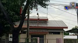 Tampak kutang aliyas BH bergelantungan di pohon depan kantor Dinsos Bangkalan. 